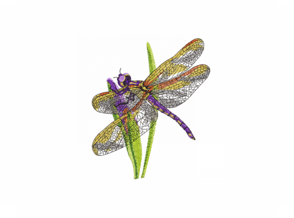Detailed Review: Dragonfly Machine Embroidery Design